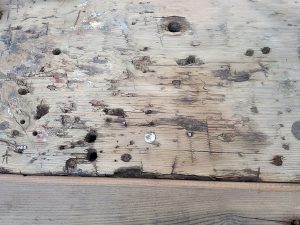 Altes Holz für neue Ideen