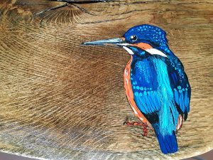 Eisvogel