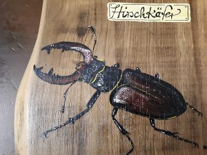 Hirschkäfer
